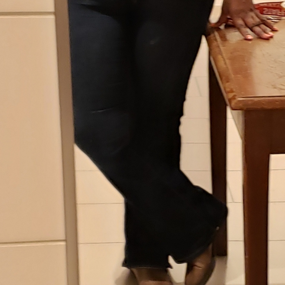 Lane bryant Boot cut jeans